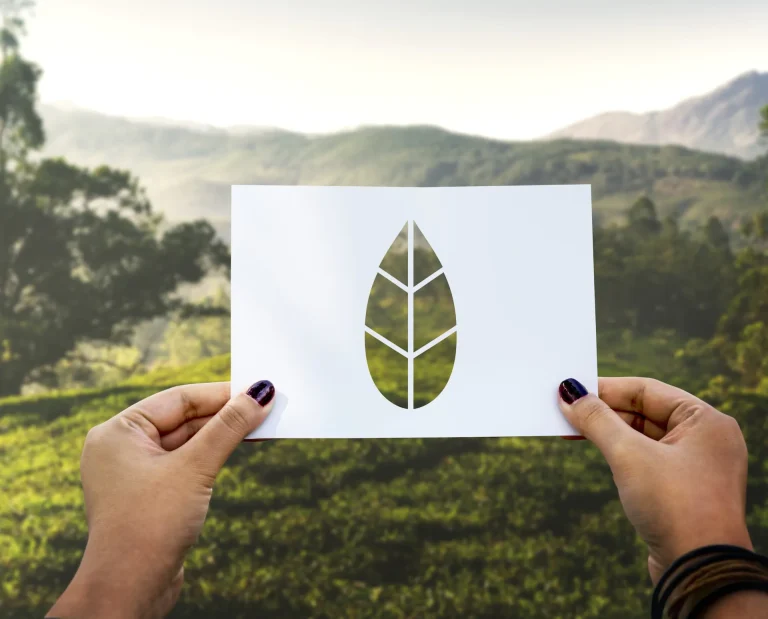 asesoría medioambiental